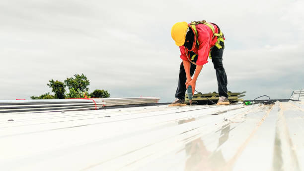 Best Chimney Flashing Repair  in Bronte, TX