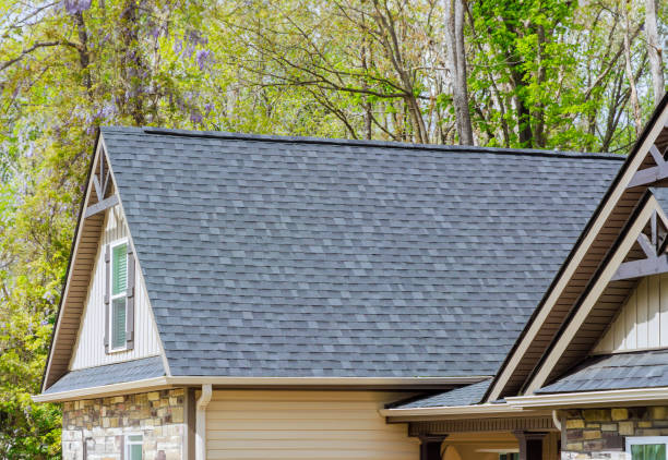 Best Metal Roofing Installation  in Bronte, TX